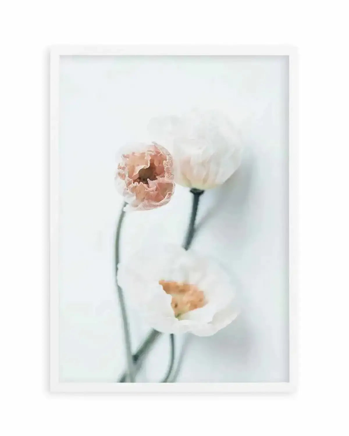 Summer Poppies I | PT Art Print from Olive et Oriel where you can shop wallpaper and artworks online