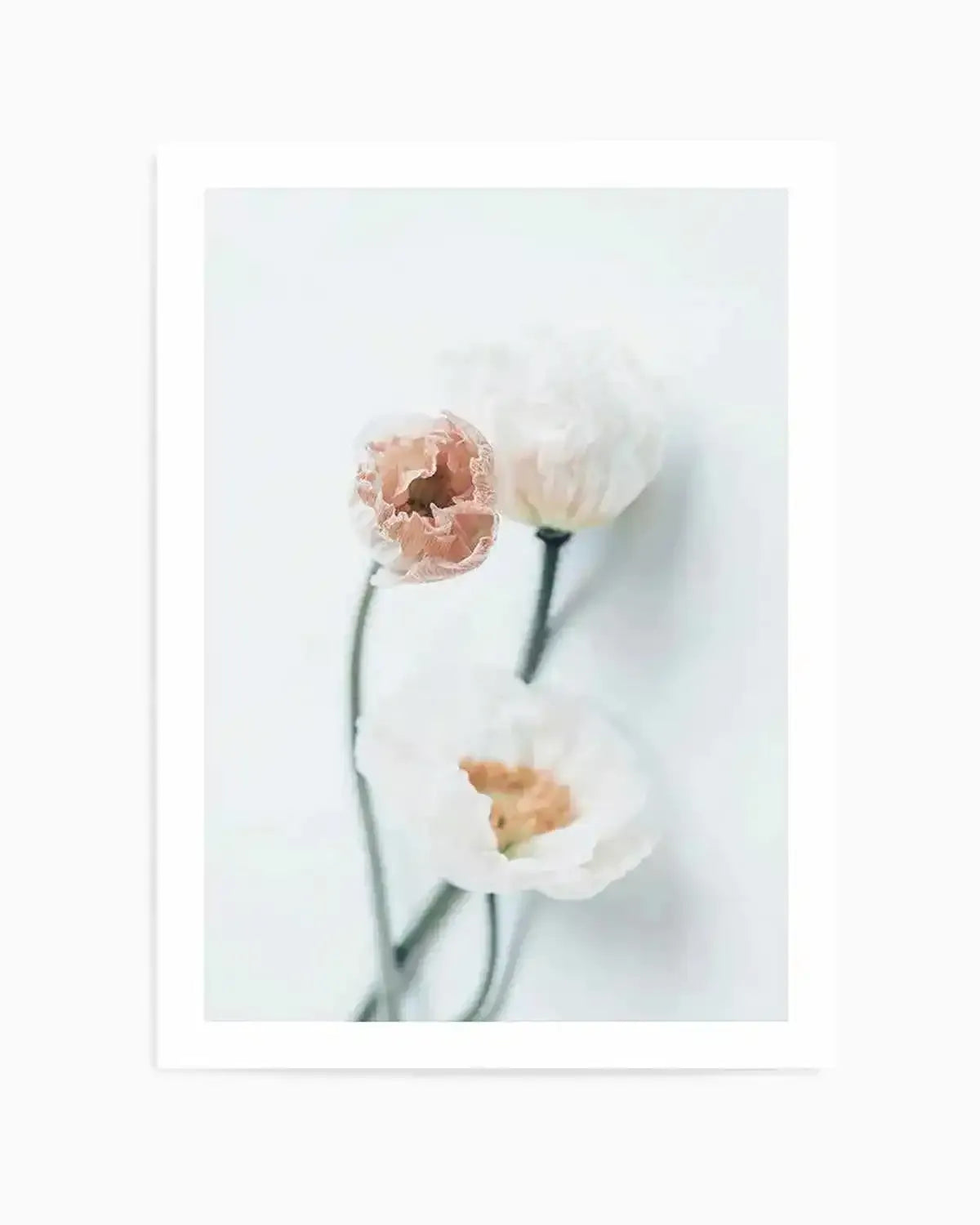 Summer Poppies I | PT Art Print from Olive et Oriel where you can shop wallpaper and artworks online