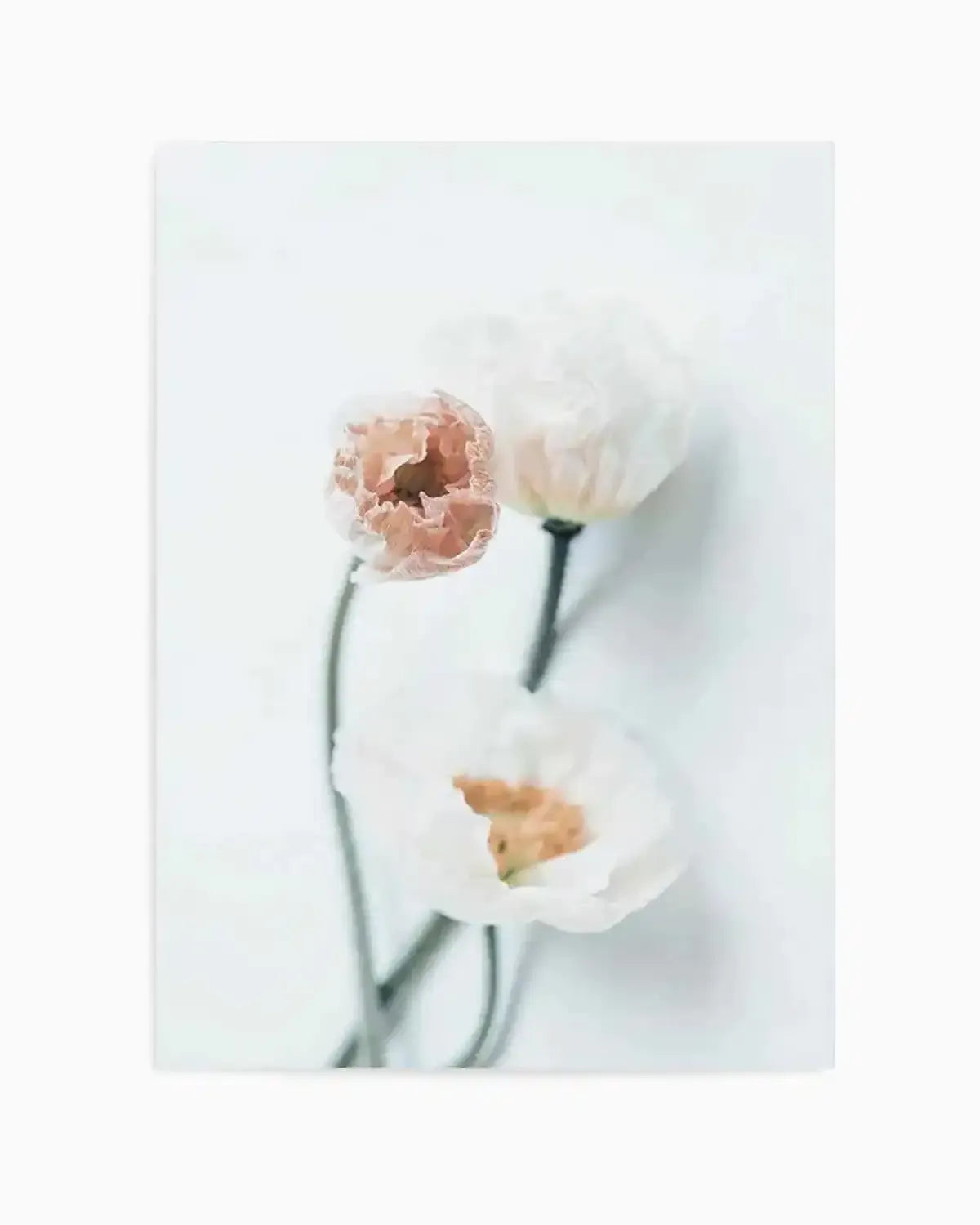 Summer Poppies I | PT Art Print from Olive et Oriel where you can shop wallpaper and artworks online