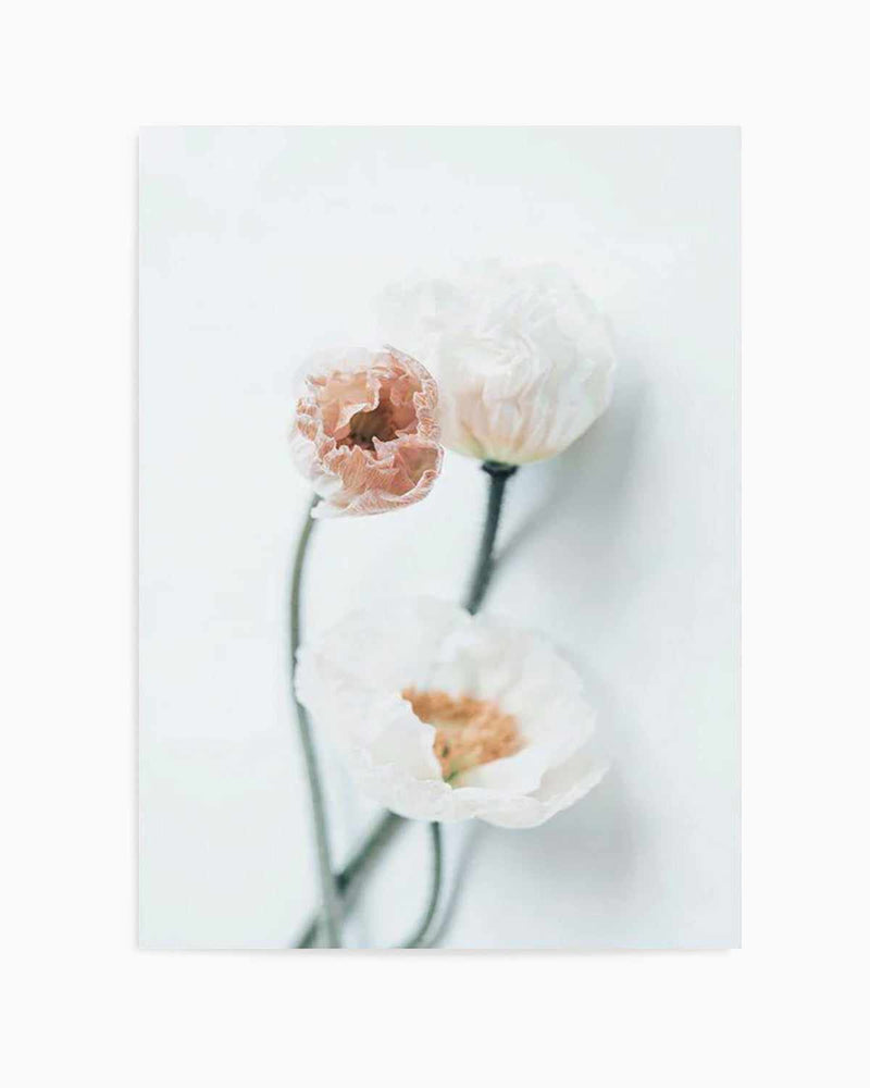 Summer Poppies I | PT Art Print