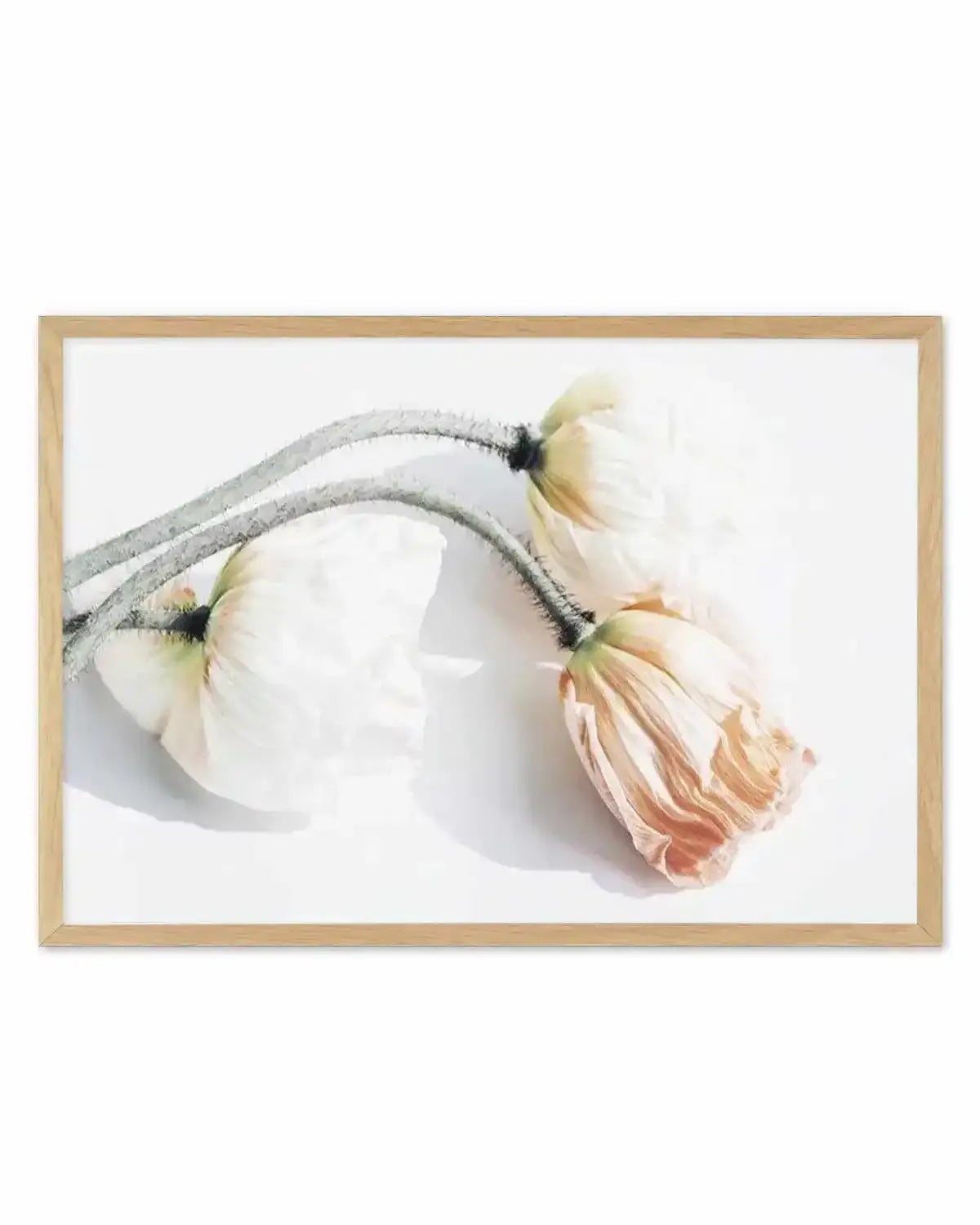 Summer Poppies II | LS Art Print from Olive et Oriel where you can shop wallpaper and artworks online