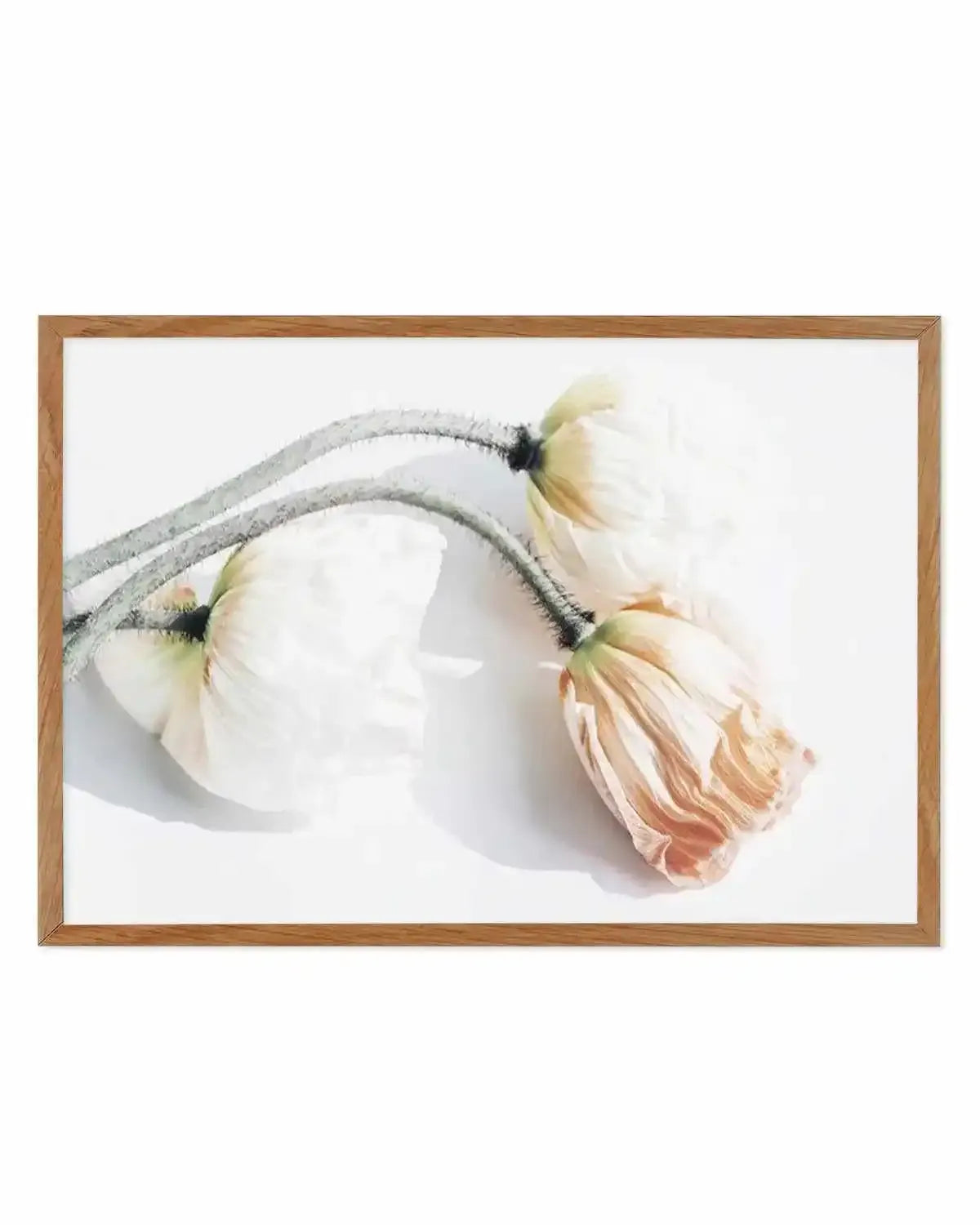 Summer Poppies II | LS Art Print from Olive et Oriel where you can shop wallpaper and artworks online