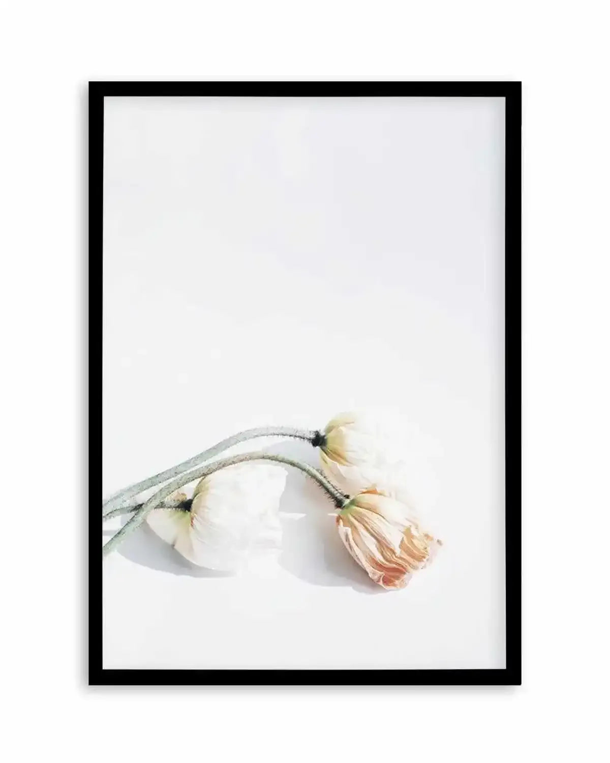 Summer Poppies II | PT Art Print from Olive et Oriel where you can shop wallpaper and artworks online