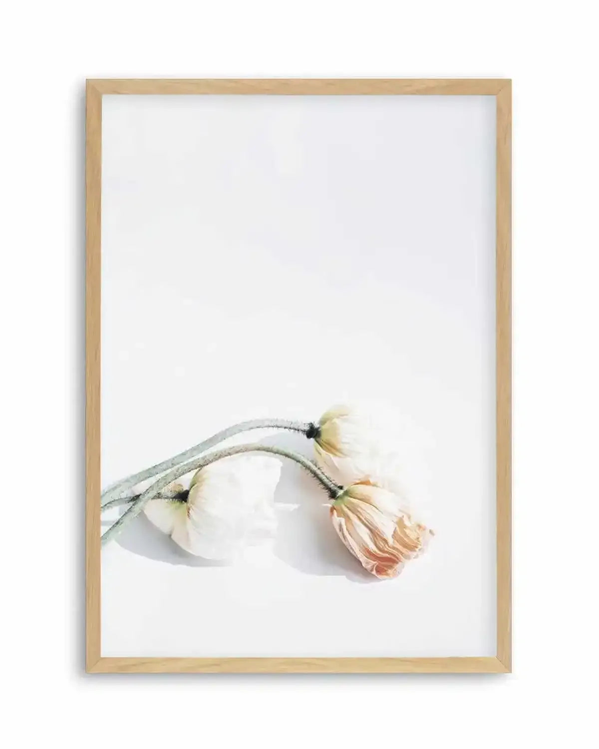 Summer Poppies II | PT Art Print from Olive et Oriel where you can shop wallpaper and artworks online