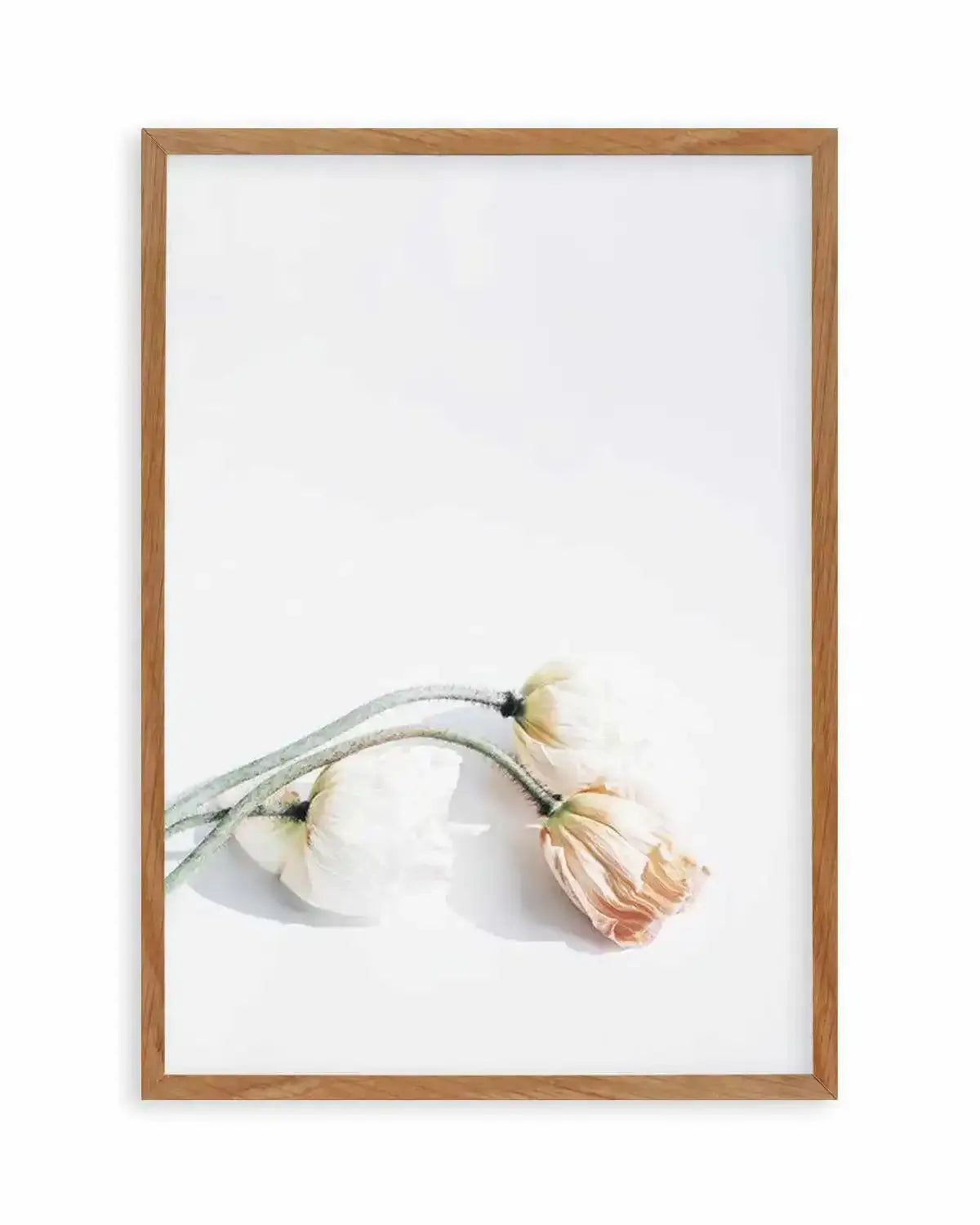 Summer Poppies II | PT Art Print from Olive et Oriel where you can shop wallpaper and artworks online