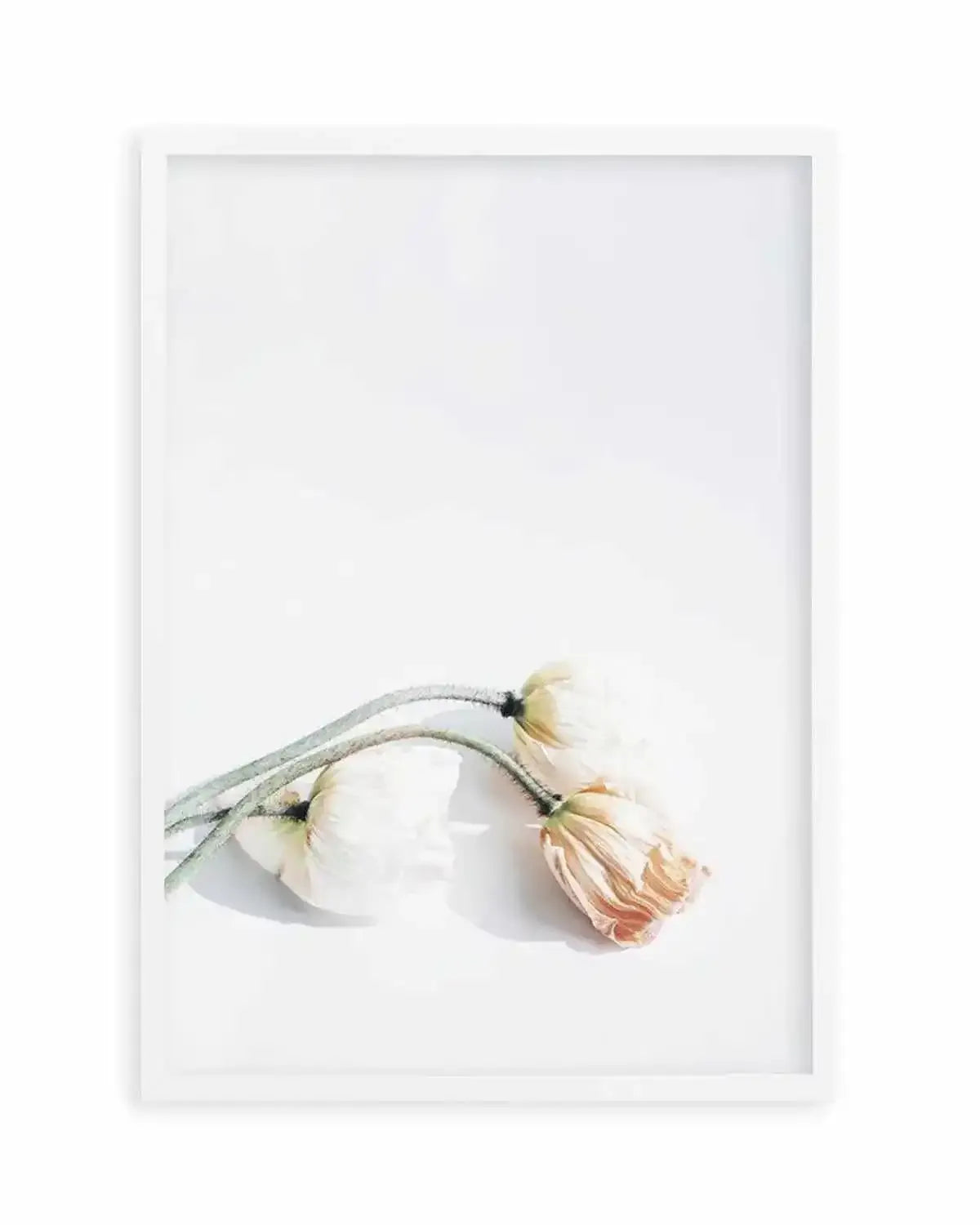 Summer Poppies II | PT Art Print from Olive et Oriel where you can shop wallpaper and artworks online