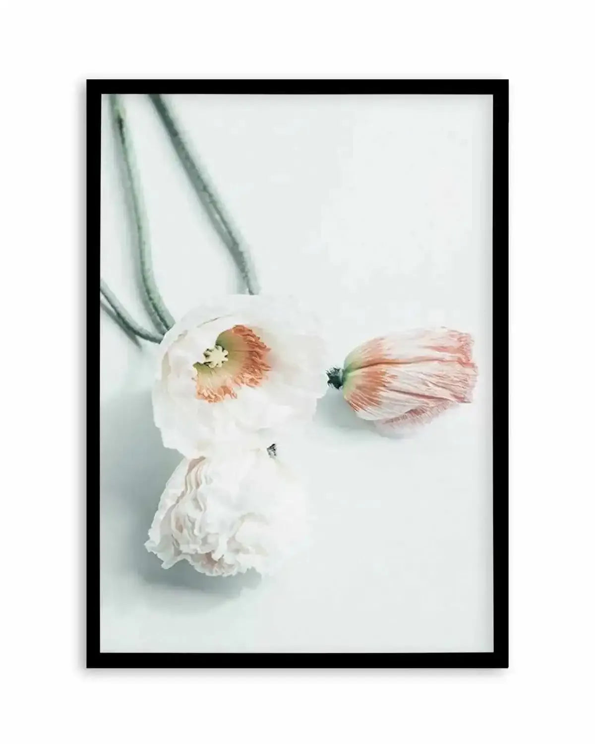 Summer Poppies III Art Print from Olive et Oriel where you can shop wallpaper and artworks online
