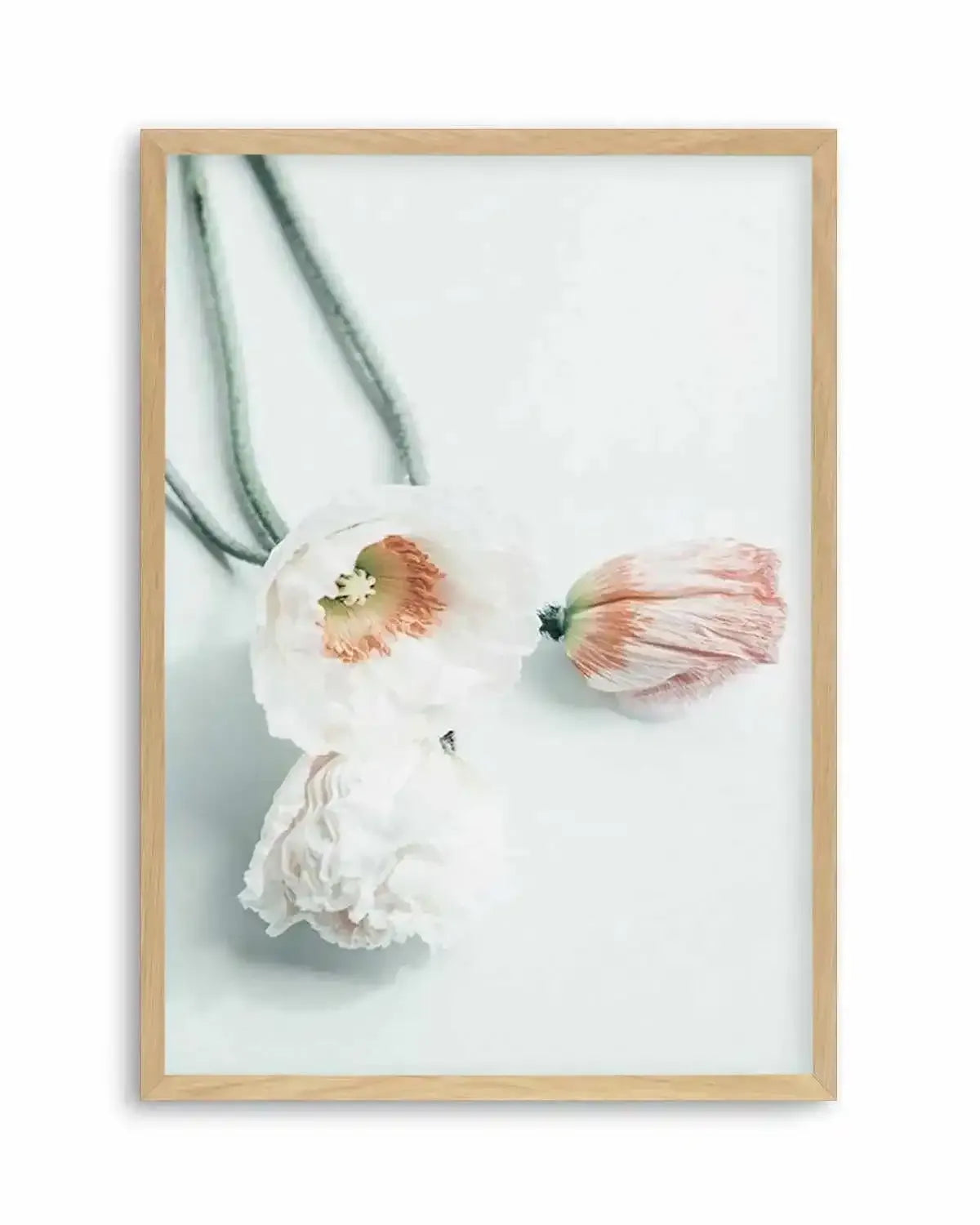 Summer Poppies III Art Print from Olive et Oriel where you can shop wallpaper and artworks online