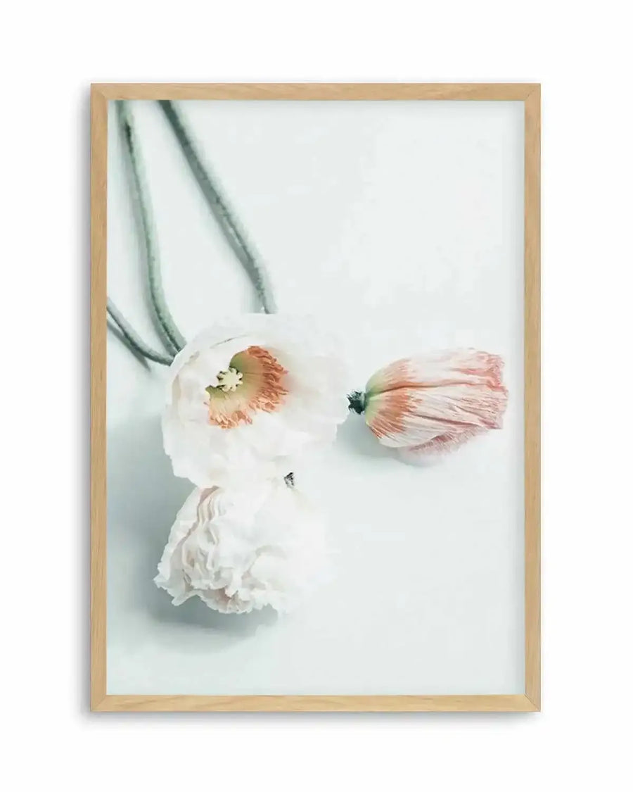Summer Poppies III Art Print from Olive et Oriel where you can shop wallpaper and artworks online