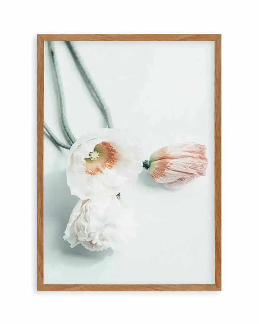 Summer Poppies III Art Print from Olive et Oriel where you can shop wallpaper and artworks online