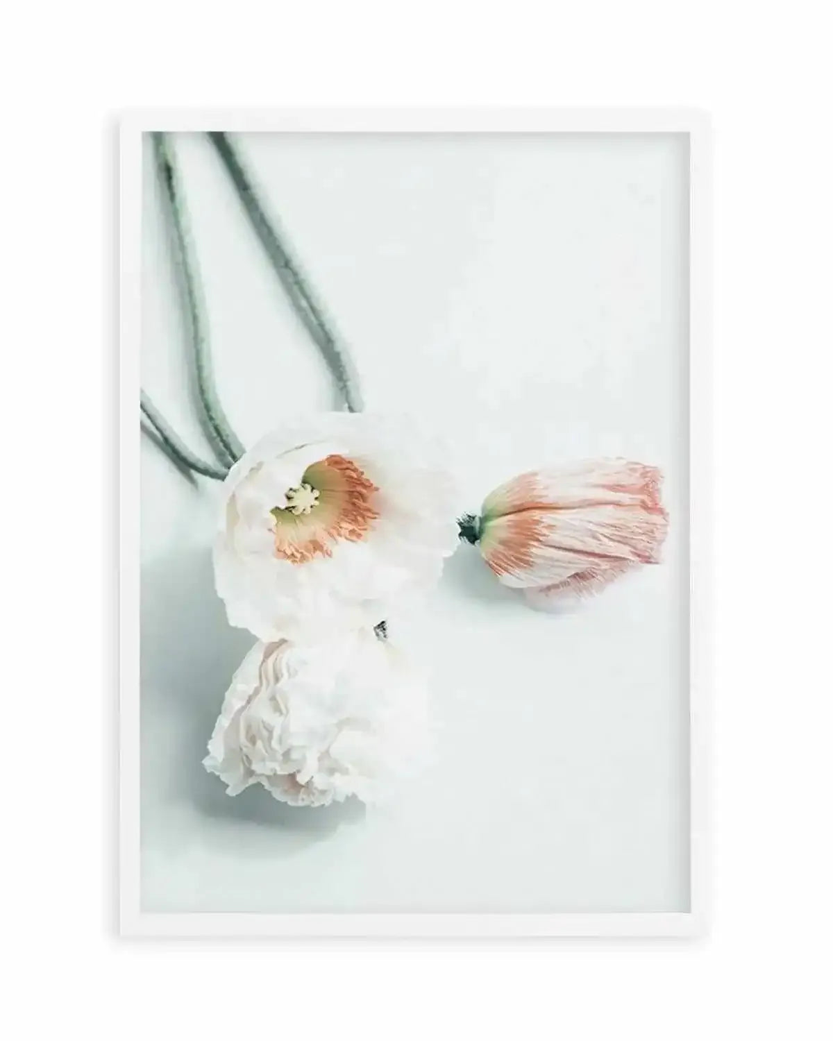 Summer Poppies III Art Print from Olive et Oriel where you can shop wallpaper and artworks online