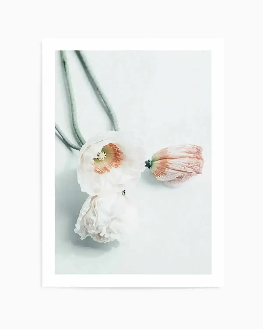 Summer Poppies III Art Print from Olive et Oriel where you can shop wallpaper and artworks online