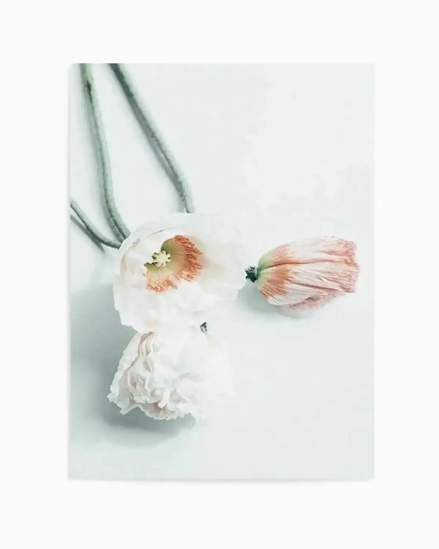 Summer Poppies III Art Print from Olive et Oriel where you can shop wallpaper and artworks online