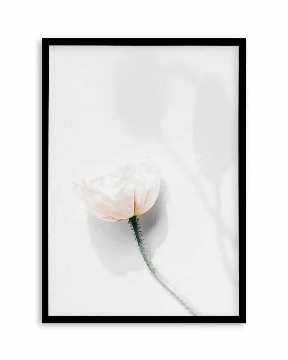 Summer Poppies IV Art Print from Olive et Oriel where you can shop wallpaper and artworks online