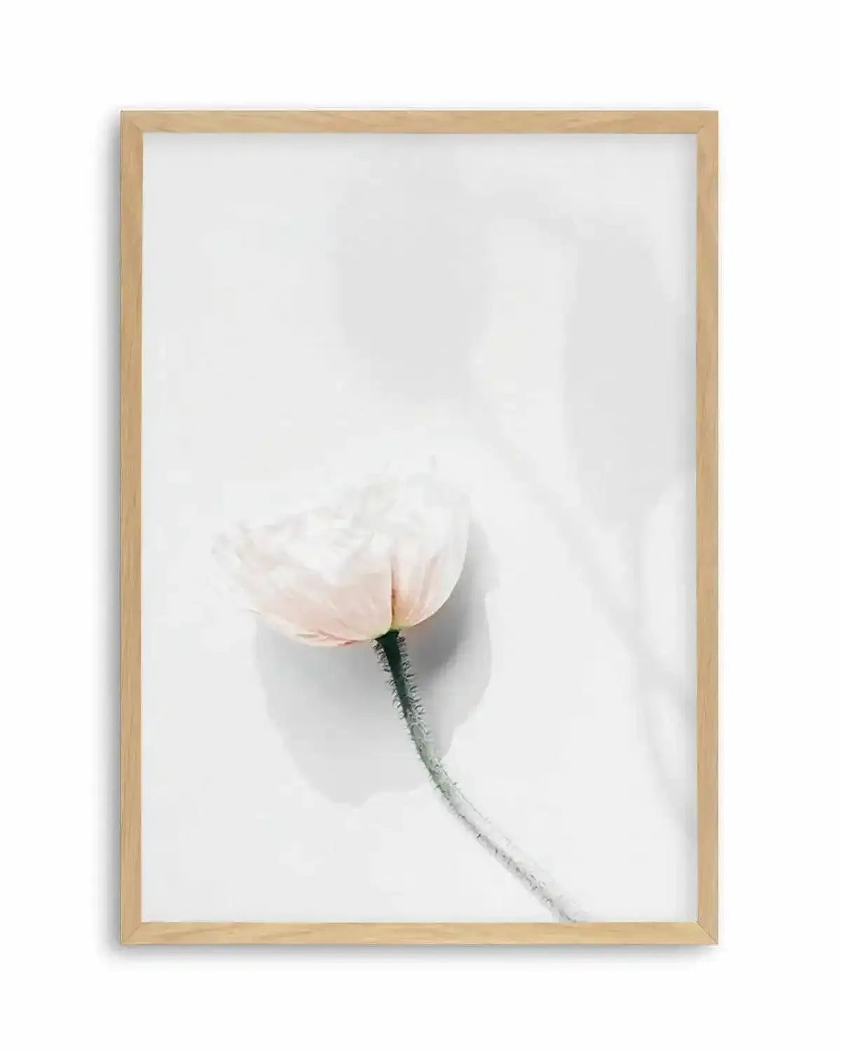 Summer Poppies IV Art Print from Olive et Oriel where you can shop wallpaper and artworks online