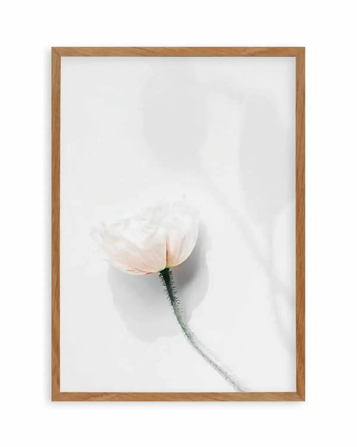 Summer Poppies IV Art Print from Olive et Oriel where you can shop wallpaper and artworks online