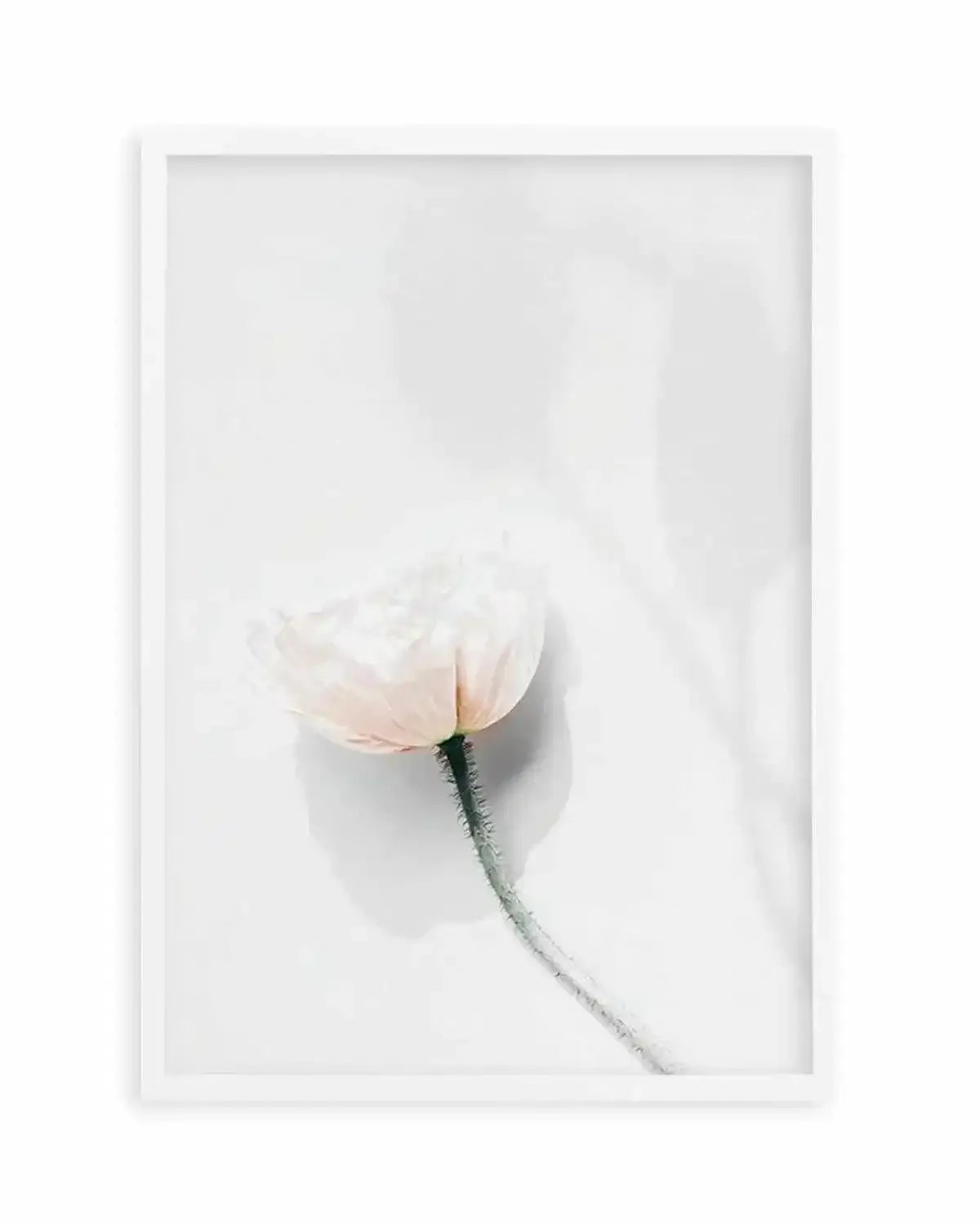 Summer Poppies IV Art Print from Olive et Oriel where you can shop wallpaper and artworks online