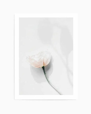 Summer Poppies IV Art Print from Olive et Oriel where you can shop wallpaper and artworks online