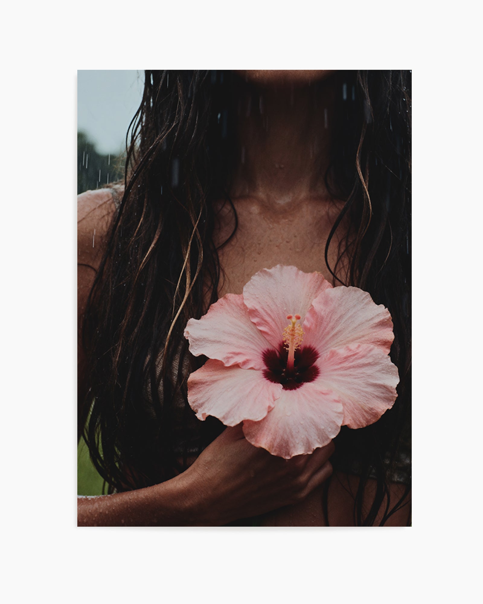 Summer Rain | Art Print from Olive et Oriel where you can shop wallpaper and artworks online