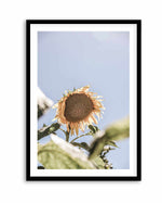 Sun Bloom Shot By Clint | Art Print