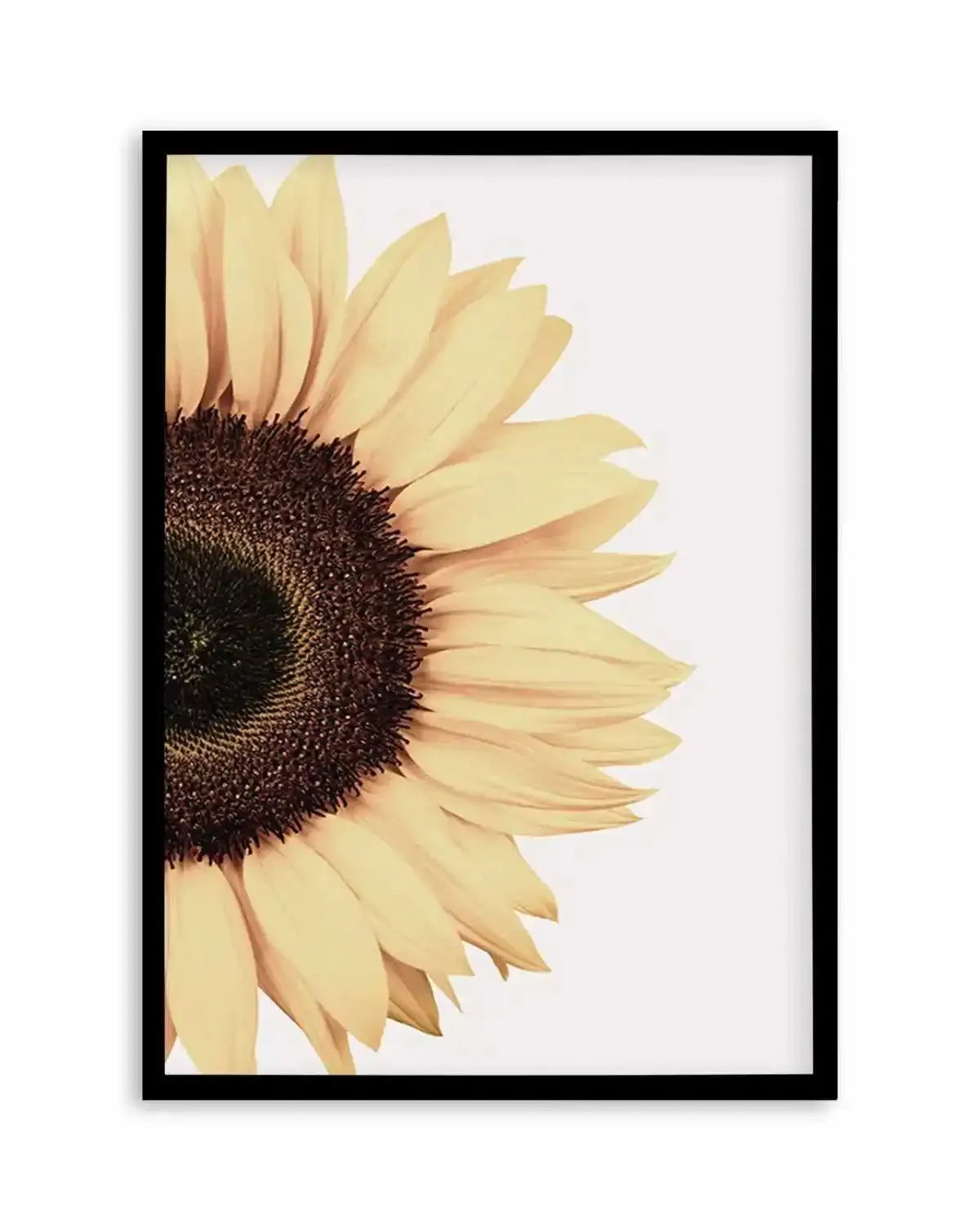Sunflower Art Print from Olive et Oriel where you can shop wallpaper and artworks online