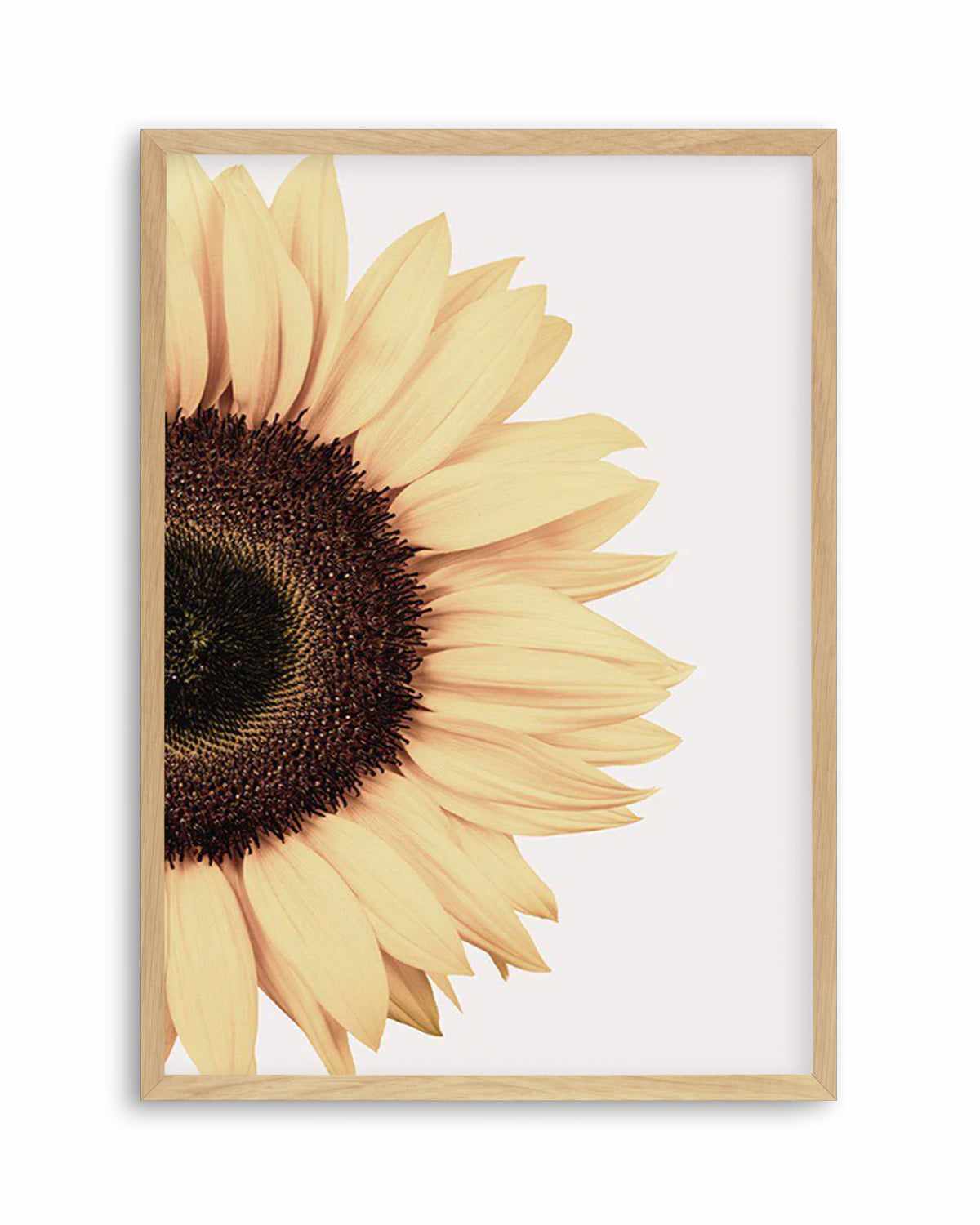 Sunflower Art Print