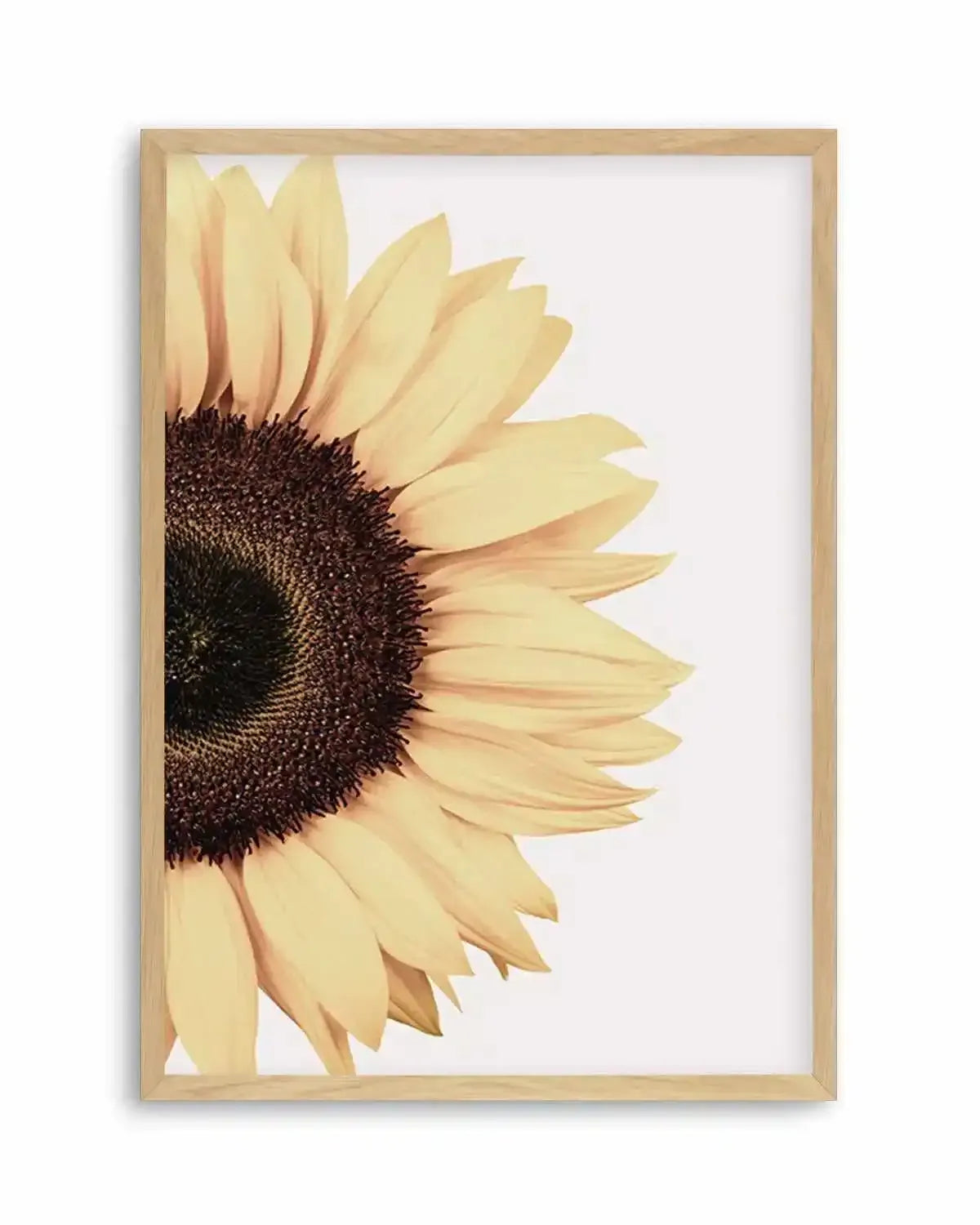 Sunflower Art Print from Olive et Oriel where you can shop wallpaper and artworks online