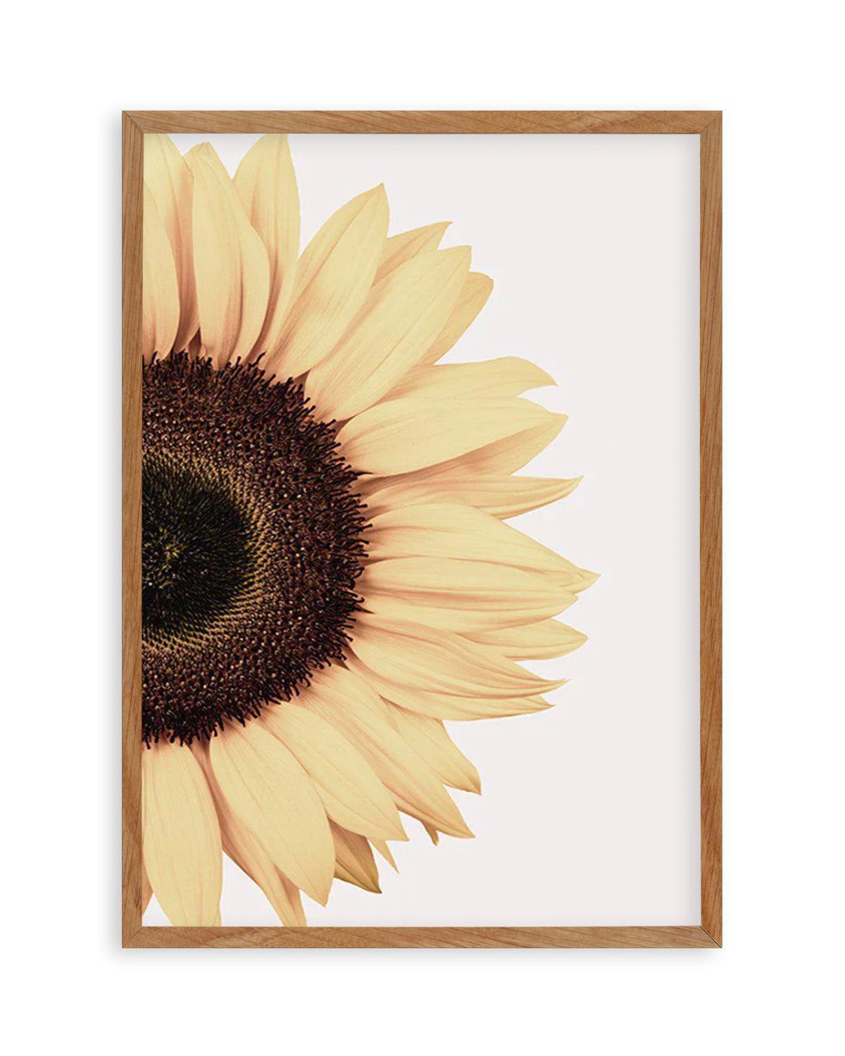 Sunflower Art Print