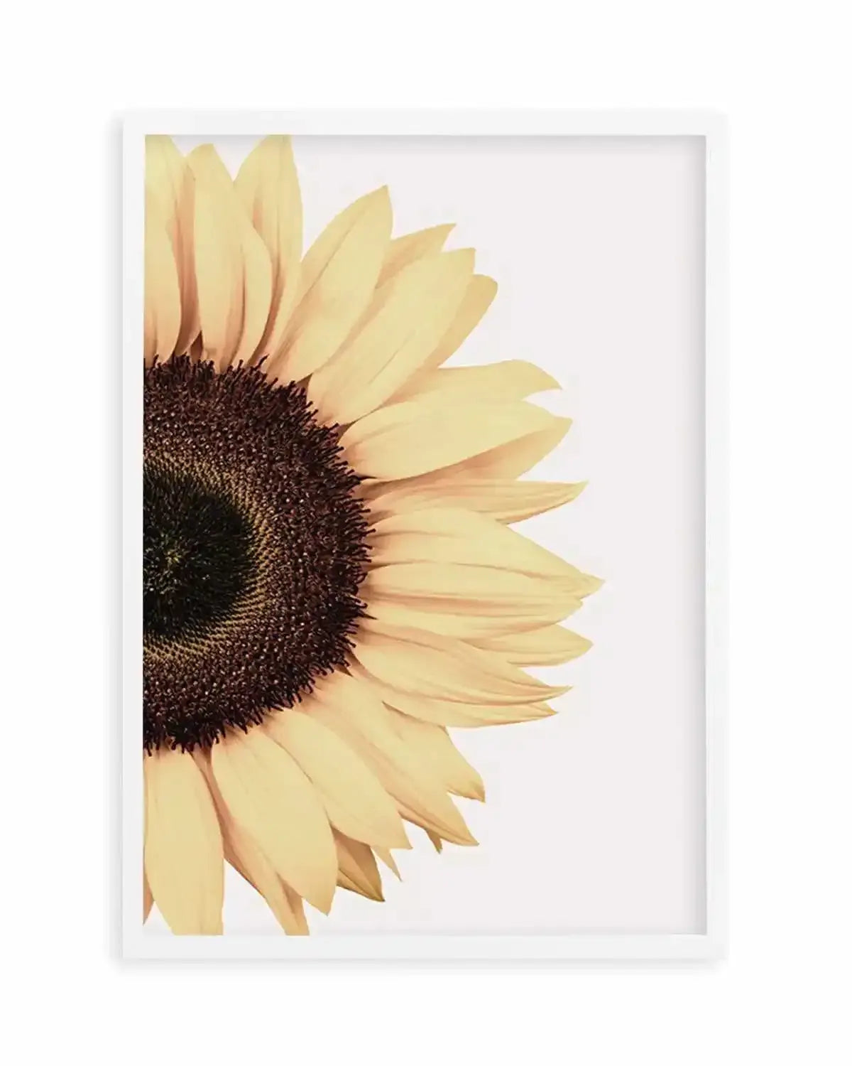 Sunflower Art Print from Olive et Oriel where you can shop wallpaper and artworks online