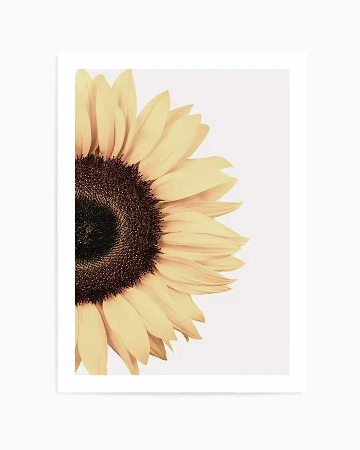 Sunflower Art Print from Olive et Oriel where you can shop wallpaper and artworks online