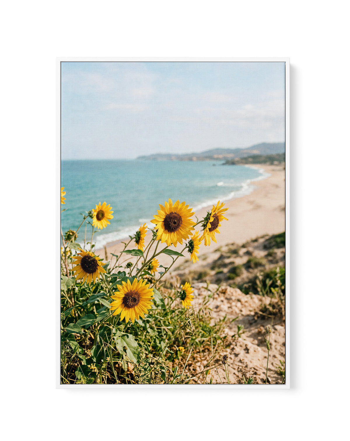 Sunflowers By the Sea 01 | Framed Canvas Art Print