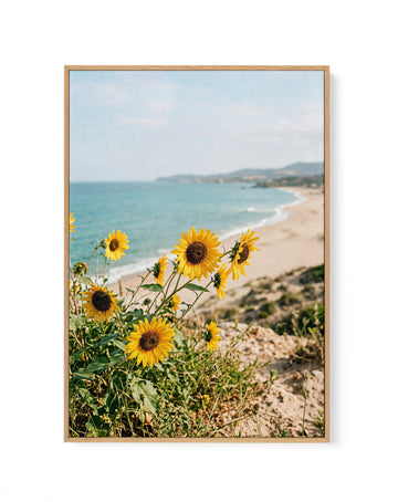 Sunflowers By the Sea 01 | Framed Canvas Wall Art