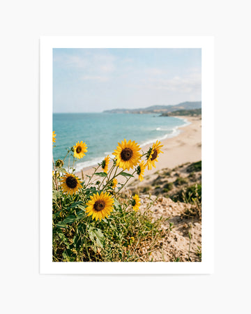 Sunflowers By the Sea 01 | Art Print