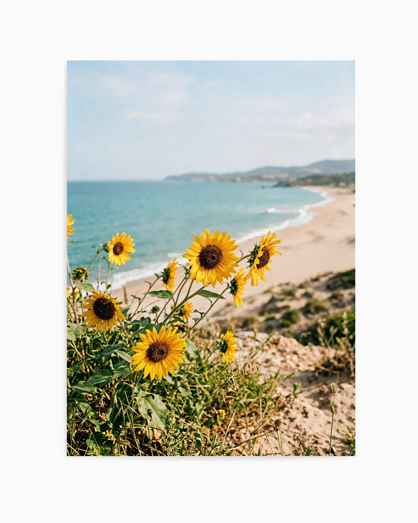 Sunflowers By the Sea 01 | Art Print