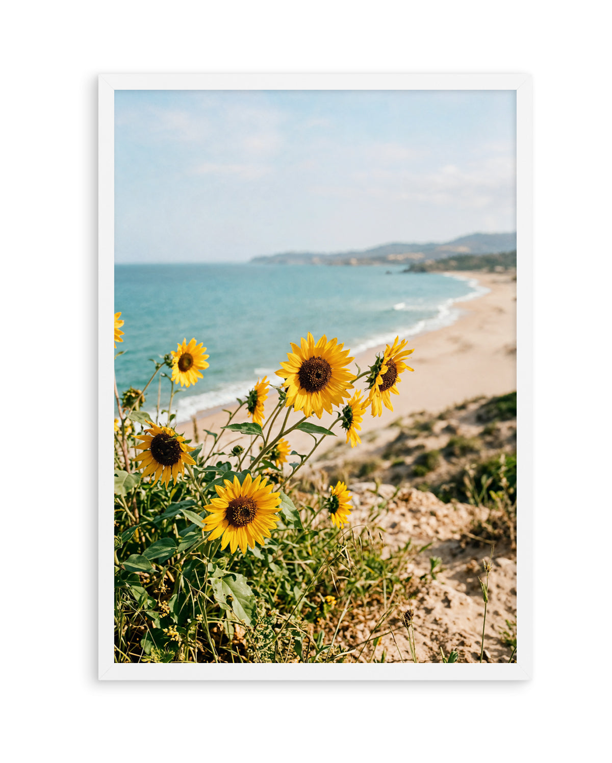 Sunflowers By the Sea 01 | Art Print