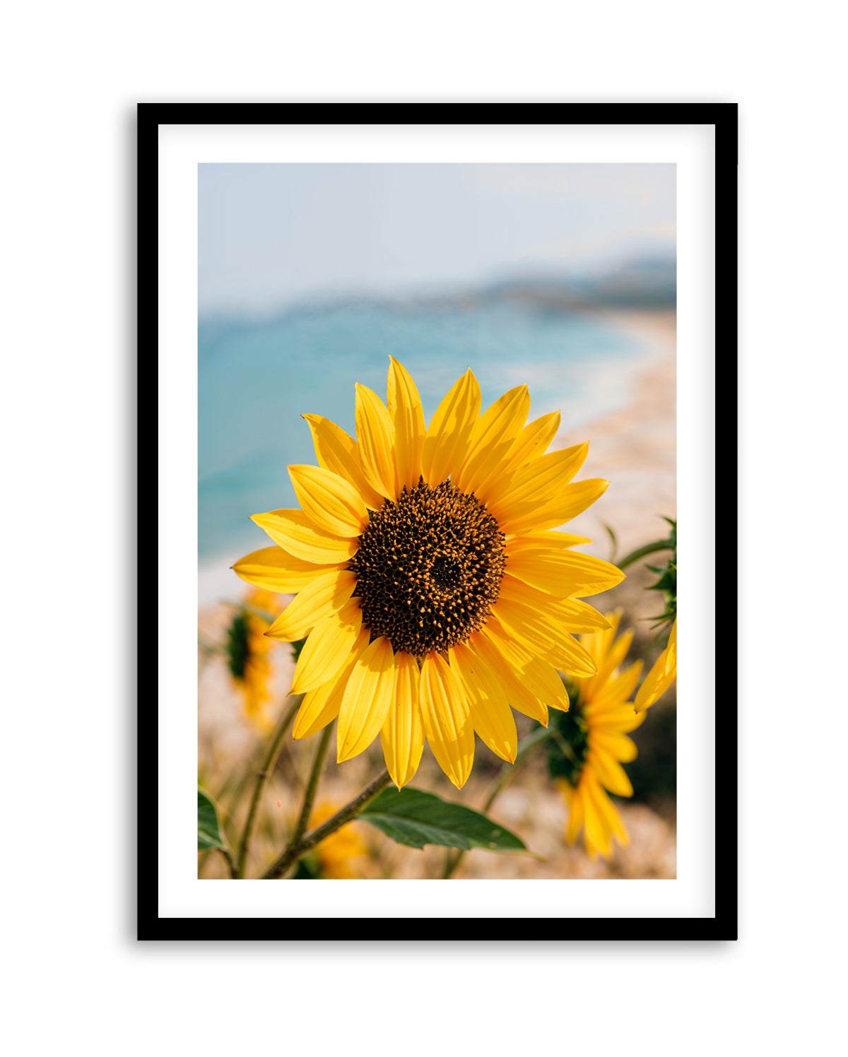 Sunflowers By the Sea 02 | Art Print