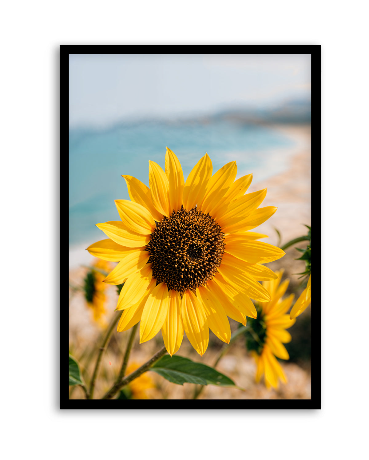 Sunflowers By the Sea 02 | Art Print