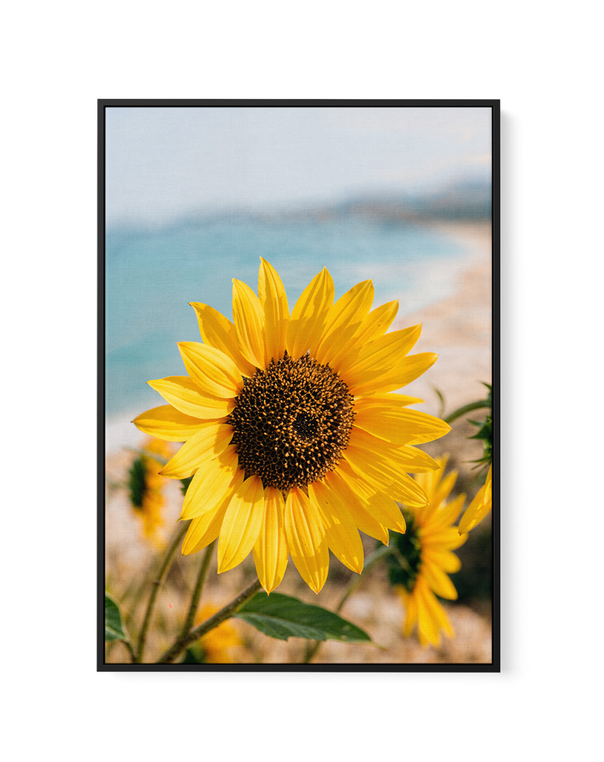Sunflowers By the Sea 02 | Framed Canvas Art Print