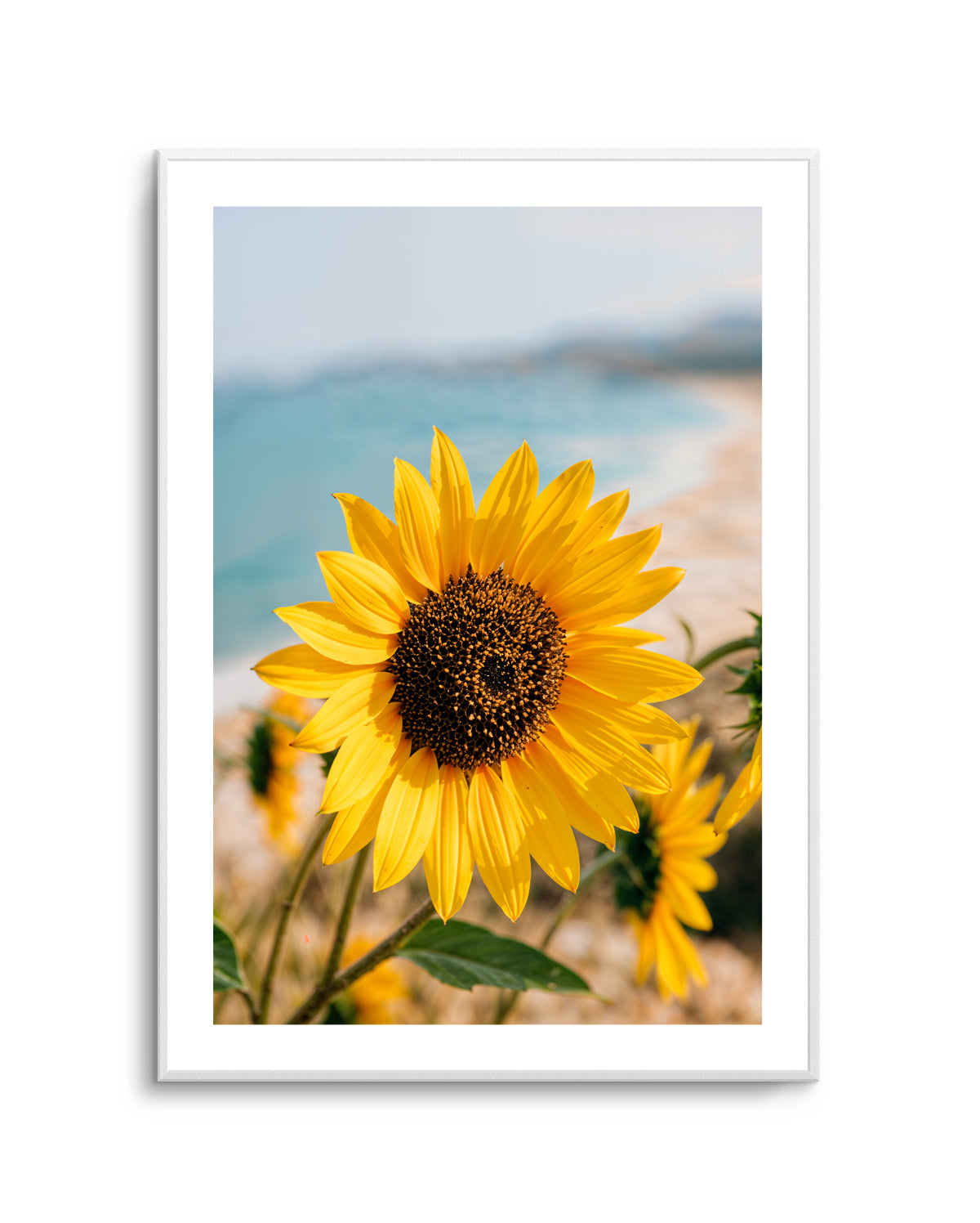 Sunflowers By the Sea 02 | Art Print
