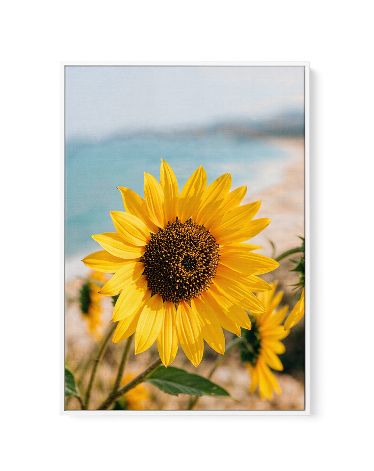 Sunflowers By the Sea 02 | Framed Canvas Art Print