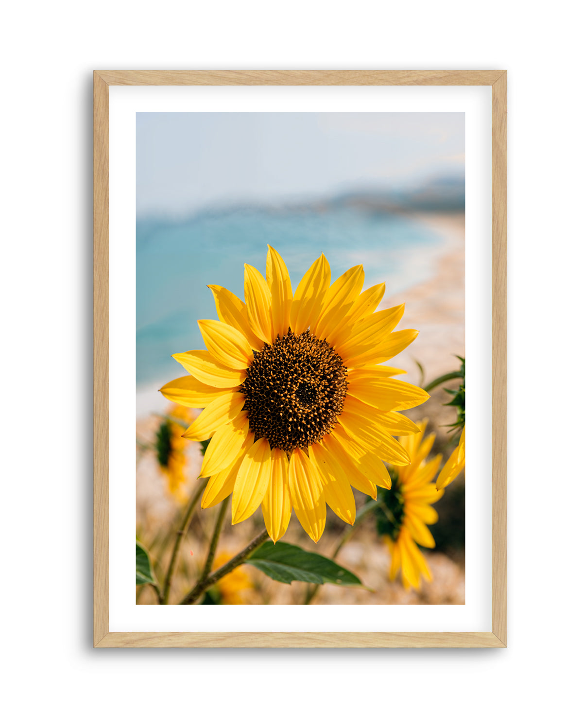 Sunflowers By the Sea 02 | Art Print