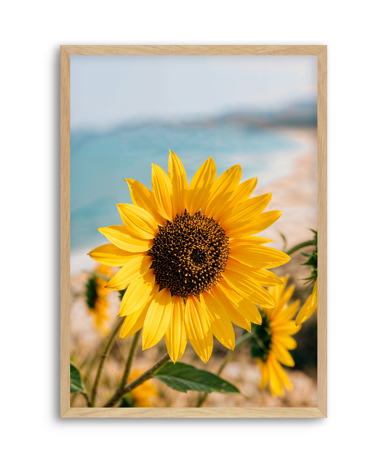 Sunflowers By the Sea 02 | Art Print
