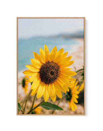 Sunflowers By the Sea 02 | Framed Canvas Wall Art