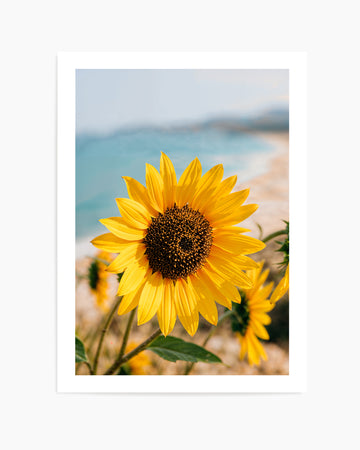 Sunflowers By the Sea 02 | Art Print