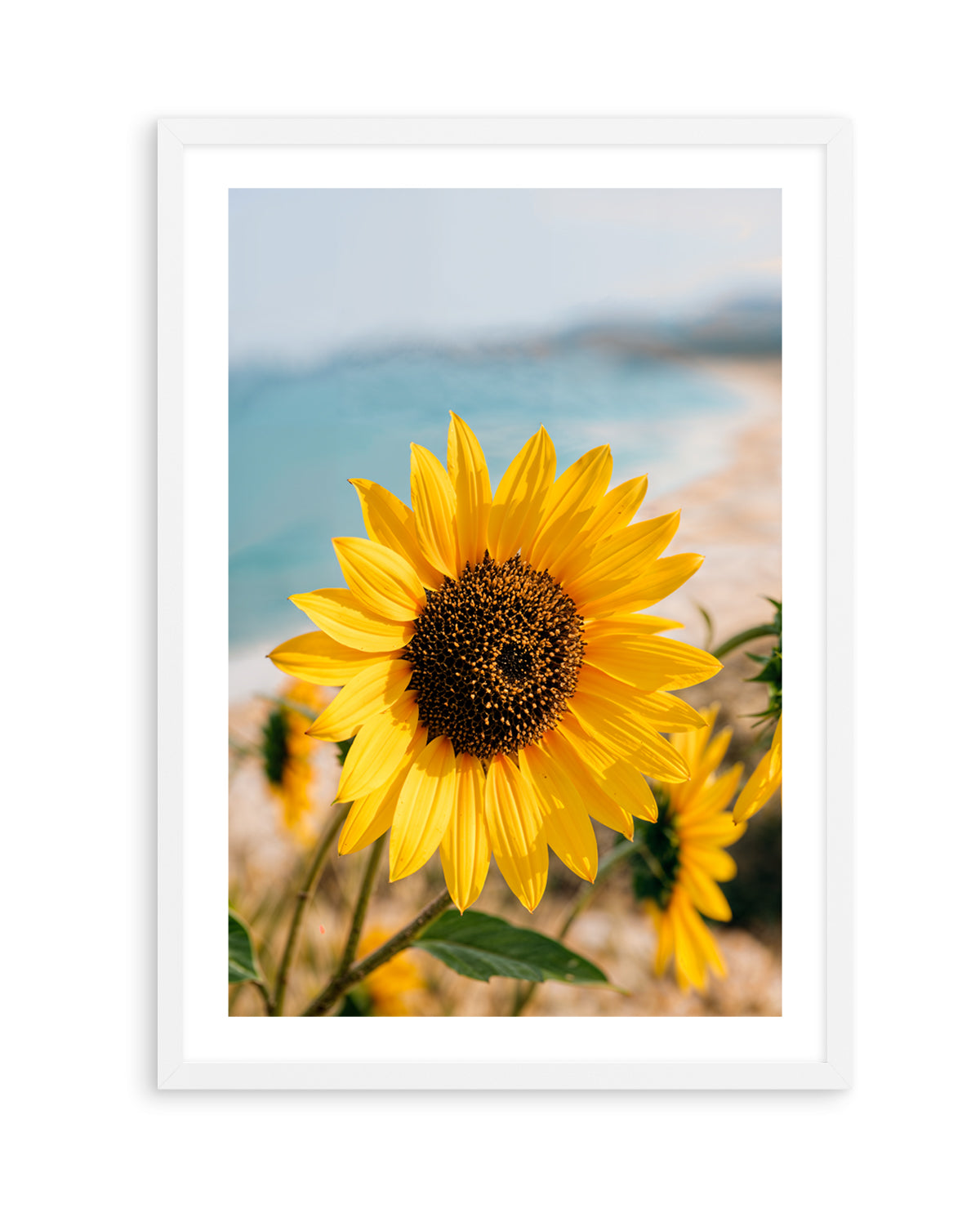 Sunflowers By the Sea 02 | Art Print