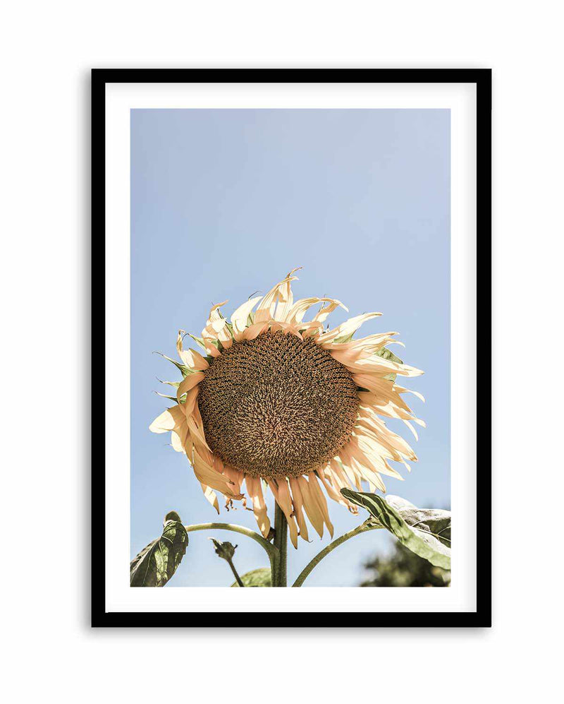 Sunny Bloom Shot by Clint | Art Print