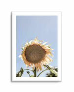 Sunny Bloom Shot by Clint | Art Print