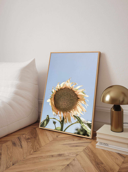 Sunny Bloom Shot by Clint | Framed Canvas Art Print