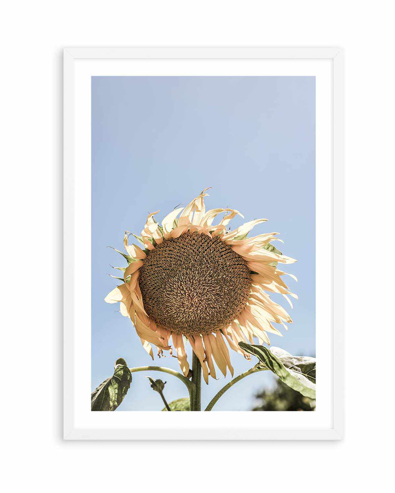 Sunny Bloom Shot by Clint | Art Print