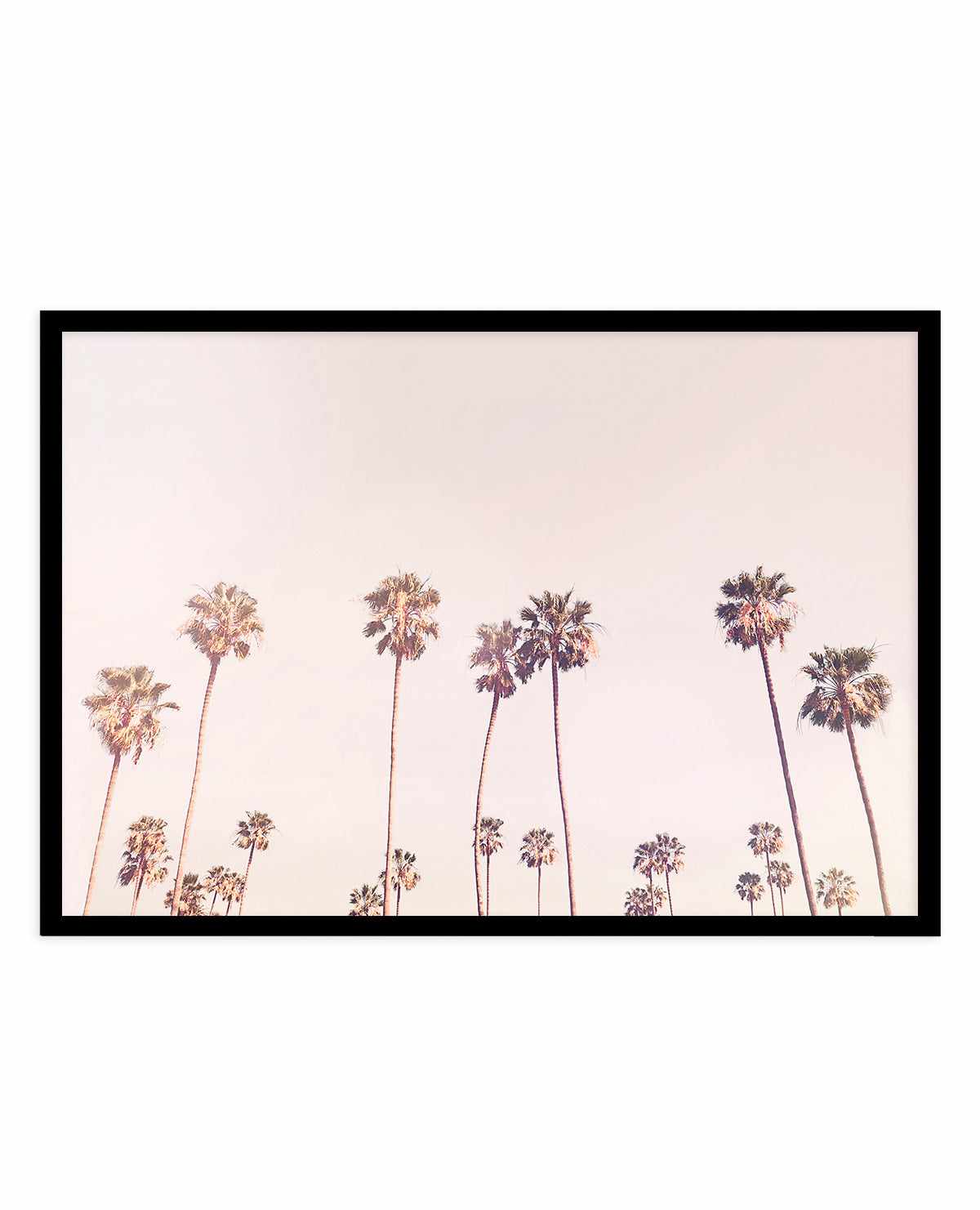 Sunny Cali Palm Trees By Kathrin Pienaar | Art Print